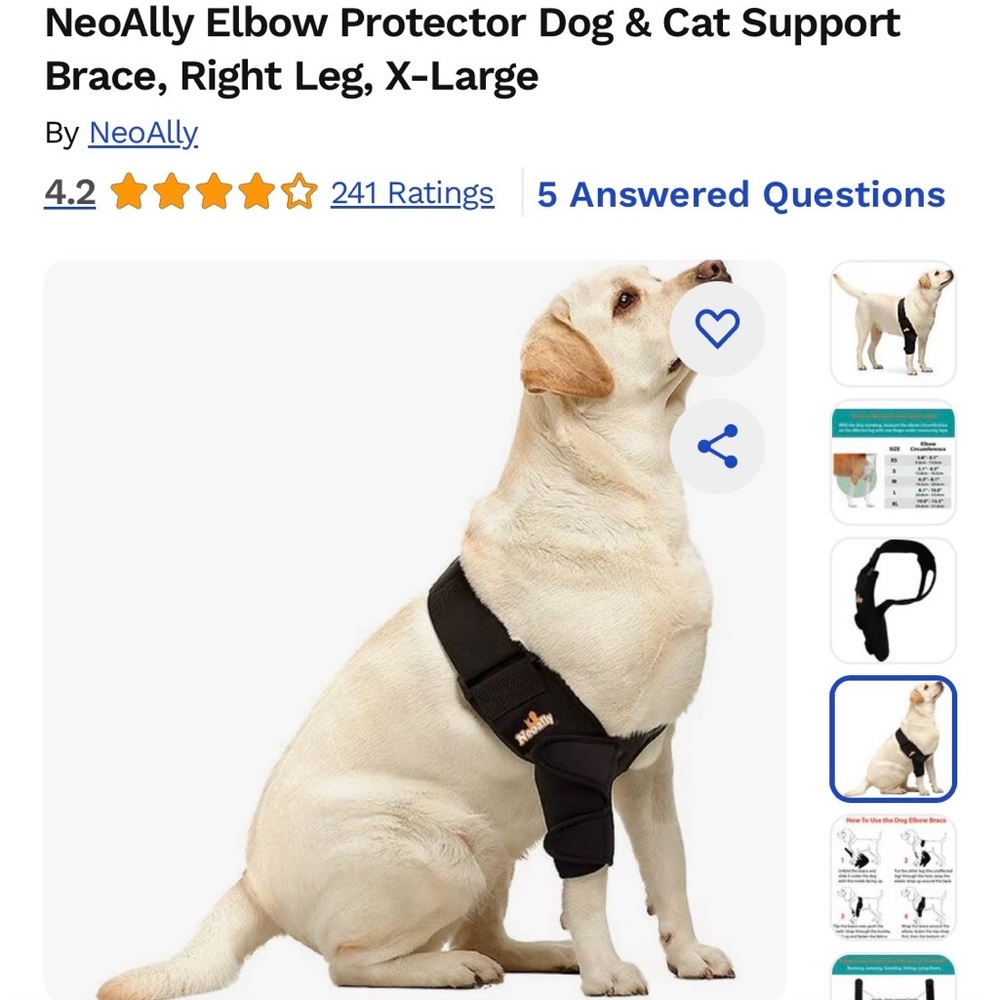 Black Dog Elbow Protector Brace